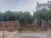 Βερουδάκη Οικόπεδο 6