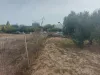 Βερουδάκη Οικόπεδο 7
