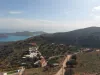 θεα