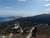 θεα